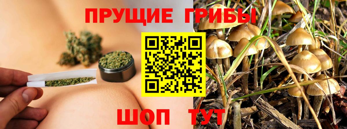 Тобольск  Галлюциногенные грибы прущие грибы  Вход с VPN 